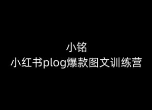 小铭-小红书plog爆款图文训练营,教你从0-1做小红书-致富资源库