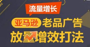 亚马逊流量增长-老品广告放量增效打法，循序渐进，打造更多TOP listing​-致富资源库