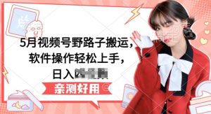 5月视频号野路子搬运,软件操作轻松上手,日入三位数【揭秘】-致富资源库