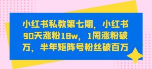 小红书私教第七期,小红书90天涨粉18w,1周涨粉破万,半年矩阵号粉丝破百万-致富资源库