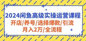 2024闲鱼高级实操运营课程:开店/养号/选择爆款/引流/月入2万/全流程-致富资源库