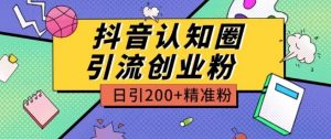 外面收费3980抖音认知圈引流创业粉玩法日引200+精准粉【揭秘】-致富资源库