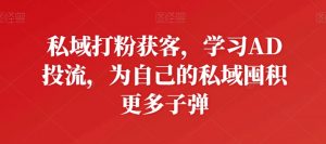 私域打粉获客,学习AD投流,为自己的私域囤积更多子弹-致富资源库