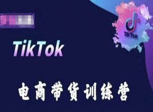 TikTok电商带货训练营，跟随时代潮流，跨境掘金-致富资源库