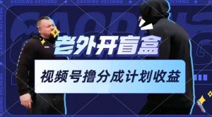 老外开盲盒视频，撸视频号分成计划收益，每天只需一小时，新手小白轻松上手【揭秘】-致富资源库