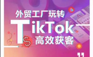 外贸工厂玩转TikTok高效获客,多种引流方式与账号定位技巧,拆解爆款短视频打造成功案例-致富资源库
