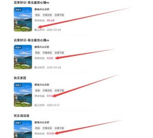 磁力聚星游戏副业陪跑训练营1.0,长期稳定项目,有人一周干了1K+-致富资源库