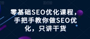零基础SEO优化课程,手把手教你做SEO优化,只讲干货-致富资源库