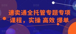 速卖通全托管专题专项课程,实操 高效 爆单-致富资源库
