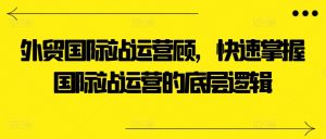 外贸国际站运营顾问,快速掌握国际站运营的底层逻辑-致富资源库
