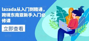 lazada从入门到精通,跨境东南亚新手入门必修课-致富资源库