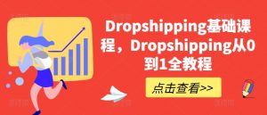 Dropshipping基础课程，Dropshipping从0到1全教程-致富资源库
