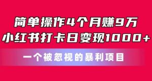 简单操作4个月赚9w,小红书打卡日变现1k,一个被忽视的暴力项目【揭秘】-致富资源库