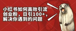 小红书如何高效引流创业粉，日引100+，解决你遇到的问题【揭秘】-致富资源库