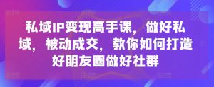 私域IP变现高手课,做好私域,被动成交,教你如何打造好朋友圈做好社群-致富资源库