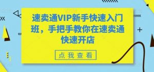 速卖通VIP新手快速入门班，手把手教你在速卖通快速开店-致富资源库