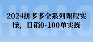 2024拼多多全系列课程实操，日销0-100单实操【必看】-致富资源库