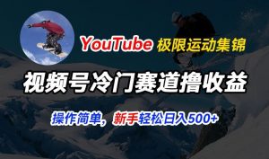 视频号冷门赛道撸收益，YouTube搬运极限运动集锦，暴力起号，操作简单流量高，轻松日入5张【揭秘】-致富资源库