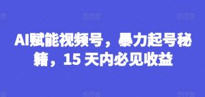 AI赋能视频号，暴力起号秘籍，15 天内必见收益【揭秘】-致富资源库