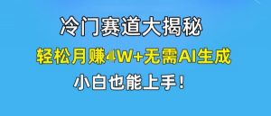 冷门赛道大揭秘,轻松月赚1W+无需AI生成,小白也能上手【揭秘】-致富资源库