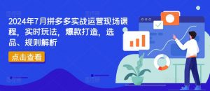 2024年7月拼多多实战运营现场课程,实时玩法,爆款打造,选品、规则解析-致富资源库