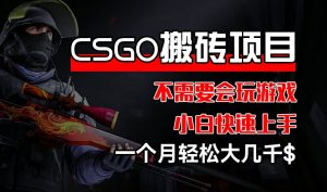 CSGO 装备搬砖项目，操作简单，不需要会玩游戏，小白也能快速上手，一个月轻松大几千【揭秘】-致富资源库