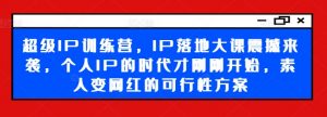 超级IP训练营,IP落地大课震撼来袭,个人IP的时代才刚刚开始,素人变网红的可行性方案-致富资源库