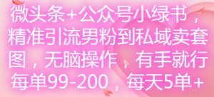 微头条+公众号小绿书,精准引流男粉到私域卖套图,无脑操作,有手就行,每单99-200,每天5单-致富资源库