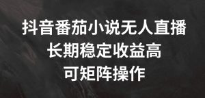 抖音番茄小说无人直播，长期稳定收益高，可矩阵操作【揭秘】-致富资源库