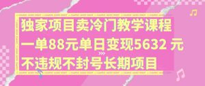 独家项目卖冷门教学课程一单88元单日变现5632元违规不封号长期项目【揭秘】-致富资源库