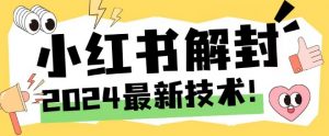2024最新小红书账号封禁解封方法，无限释放手机号【揭秘】-致富资源库