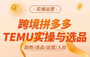 跨境拼多多TEMU实操与选品,多多temu跨境选品运营实操-致富资源库
