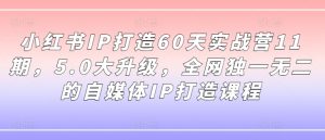 小红书IP打造60天实战营11期，5.0大升级，全网独一无二的自媒体IP打造课程-致富资源库
