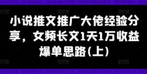 小说推文推广大佬经验分享,女频长文1天1万收益爆单思路(上)-致富资源库