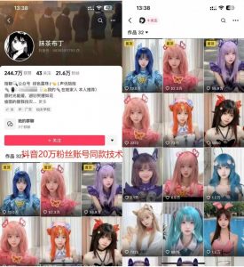 云天二次元美女起号教学，月涨10万粉丝，不判搬运-致富资源库