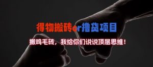 得物搬砖撸货项目?掰下数据,我给你们说说顶层思维【揭秘】-致富资源库