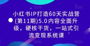小红书IP打造60天实战营(第11期)5.0内容全面升级,硬核干货,一站式引流变现系统课-致富资源库