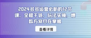 2024多多运营必听的12节课,全程干货,玩法实操,爆款方案尽在掌握-致富资源库