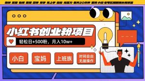 小红书创业粉项目日+500粉，每天20分钟躺赚长尾收益，无脑操作，宝妈，小白抓紧冲【揭秘】-致富资源库