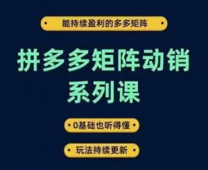 拼多多矩阵动销系列课，能持续盈利的多多矩阵，0基础也听得懂，玩法持续更新-致富资源库