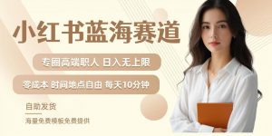 小红书蓝海赛道,圈中高端职场人,月入无上限,可矩阵,内含私域实操教程!-致富资源库