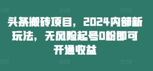 头条搬砖项目,2024内部新玩法,无风险起号0粉即可开通收益-致富资源库