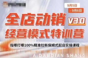 全店动销经营模式特训营,指哪打哪100%精准拉新保姆式起店实操课程-致富资源库