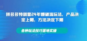 拼多多特训营24年爆破流玩法,产品决定上限,方法决定下限,各种玩法技巧落地实操-致富资源库