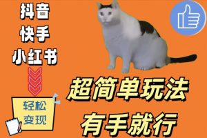 超简单玩法，有手就行，靠猫咪视频日入500+【揭秘】-致富资源库