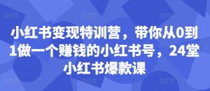 小红书变现特训营,带你从0到1做一个赚钱的小红书号,24堂小红书爆款课-致富资源库