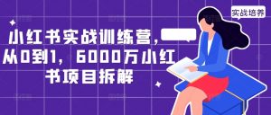 小红书实战训练营,从0到1,6000万小红书项目拆解-致富资源库