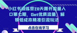 小红书训练营28天撕开流量入口第七期，Get优质流量，解锁低成本精准引流玩法-致富资源库