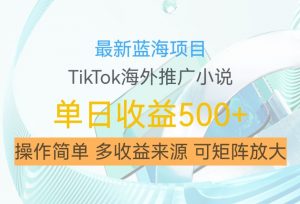 最新蓝海项目,利用tiktok海外推广小说赚钱佣金,简单易学,日入500+,可矩阵放大【揭秘】-致富资源库