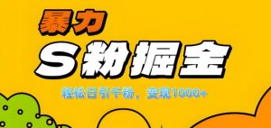 单人单机日引千粉,变现1k+,S粉流量掘金计划攻略【揭秘】-致富资源库